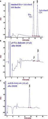 Ethanol-Dependent Synthesis of Salsolinol in the Posterior Ventral Tegmental Area as Key Mechanism of Ethanol’s Action on Mesolimbic Dopamine